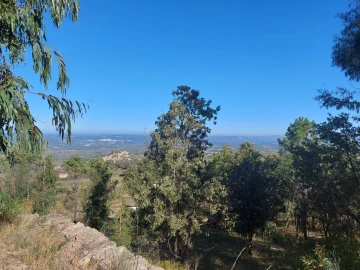 Quinta T0 para Venda em Figueiró da Serra e Freixo da Serra