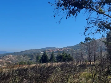Quinta T0 para Venda em Figueiró da Serra e Freixo da Serra
