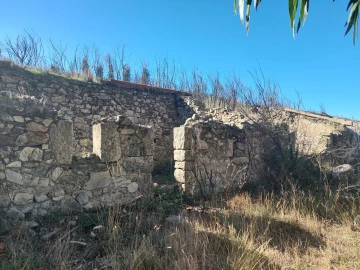 Quinta T0 para Venda em Figueiró da Serra e Freixo da Serra