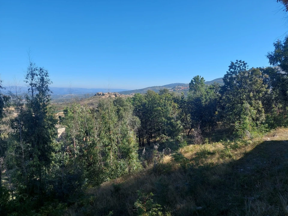Quinta T0 para Venda em Figueiró da Serra e Freixo da Serra Foto 3
