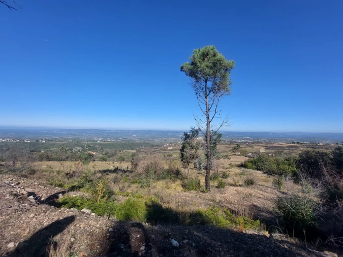 Quinta T0 para Venda em Figueiró da Serra e Freixo da Serra Foto 4
