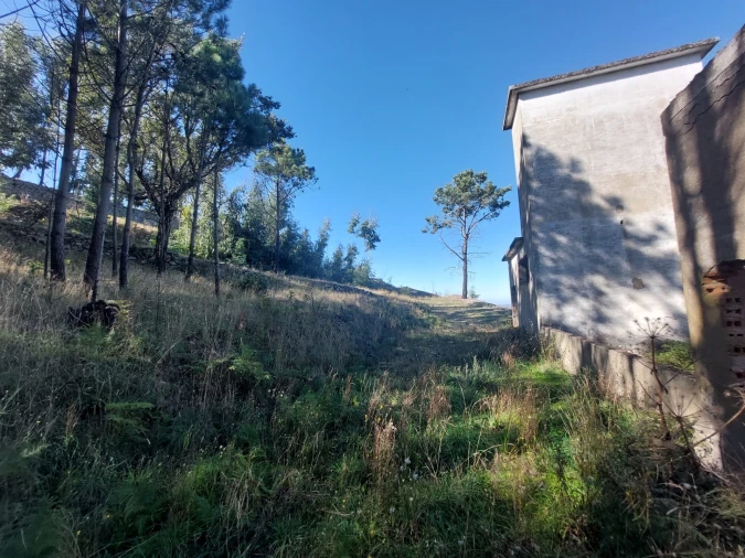 Quinta T0 para Venda em Figueiró da Serra e Freixo da Serra Foto 7