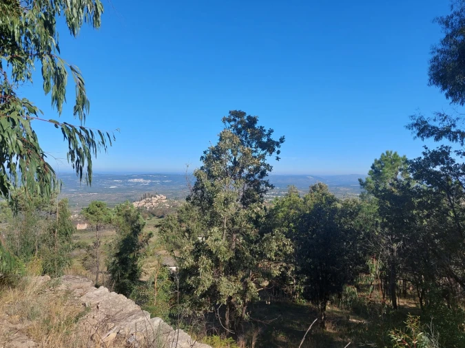 Quinta T0 para Venda em Figueiró da Serra e Freixo da Serra Foto 11