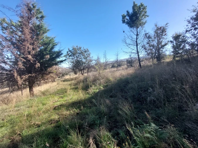 Quinta T0 para Venda em Figueiró da Serra e Freixo da Serra Foto 6