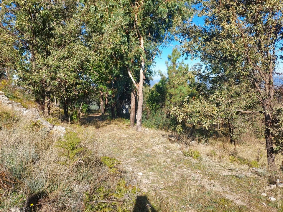 Quinta T0 para Venda em Figueiró da Serra e Freixo da Serra Foto 14