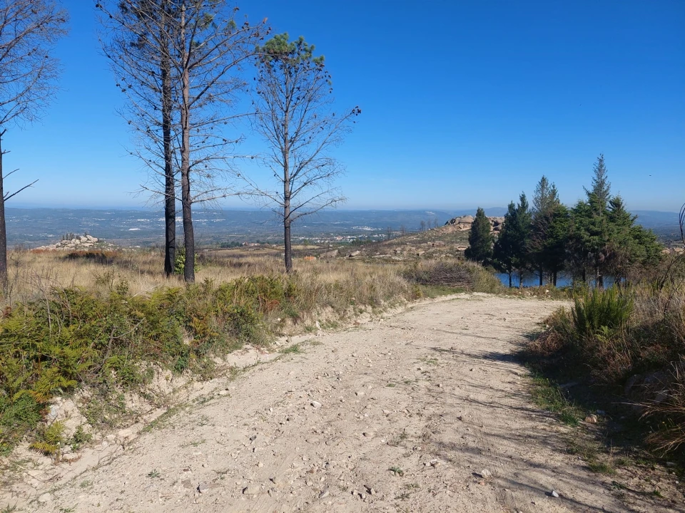 Quinta T0 para Venda em Figueiró da Serra e Freixo da Serra Foto 2