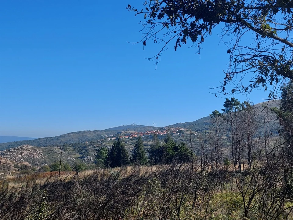 Quinta T0 para Venda em Figueiró da Serra e Freixo da Serra Foto 16