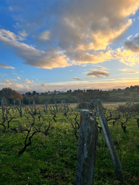 Terreno Agricola ou Rústico para Venda em Santa Comba