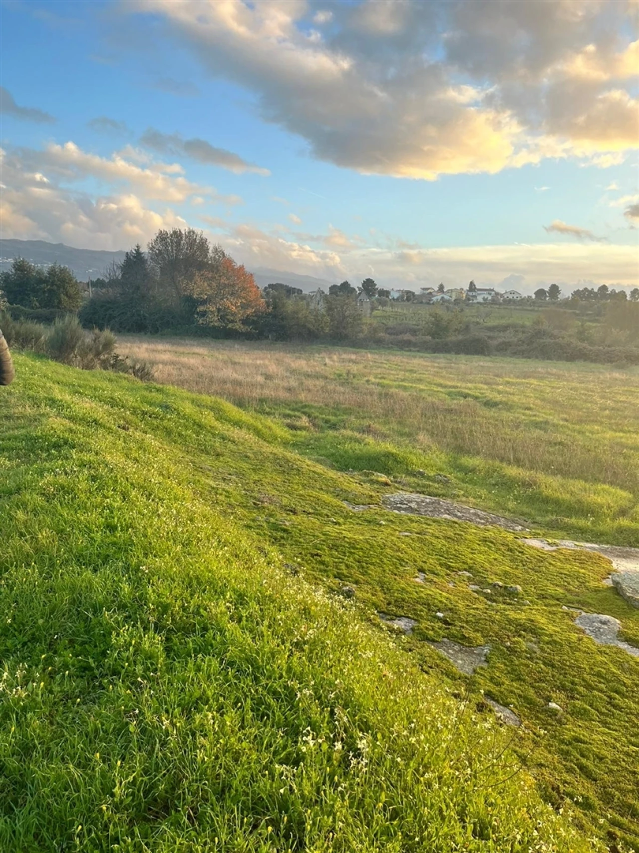Terreno Agricola ou Rústico para Venda em Santa Comba Foto 1