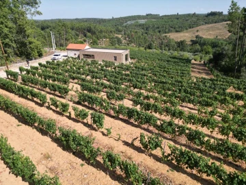 Quinta T0 para Venda em Antas e Matela