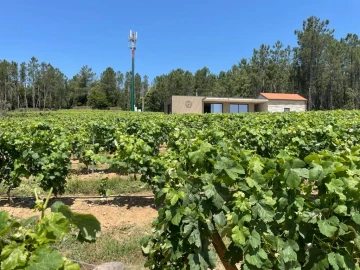 Quinta T0 para Venda em Antas e Matela