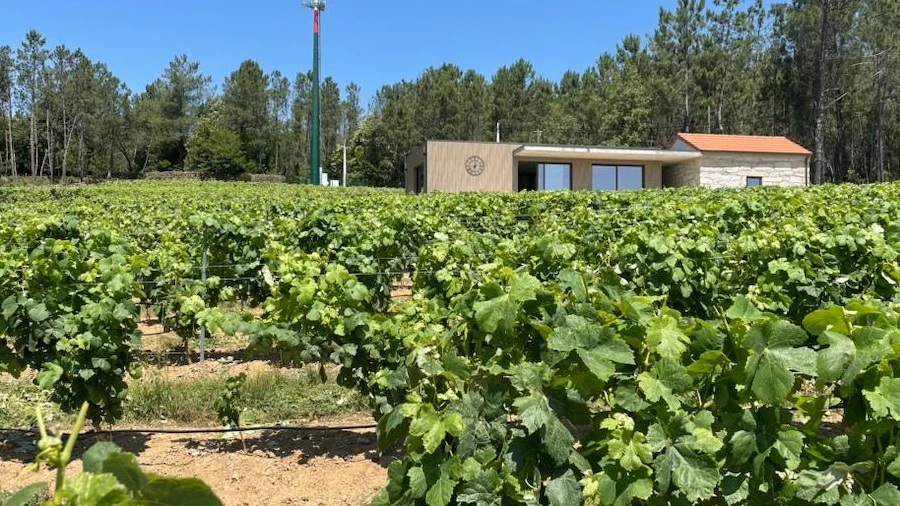Quinta T0 para Venda em Antas e Matela