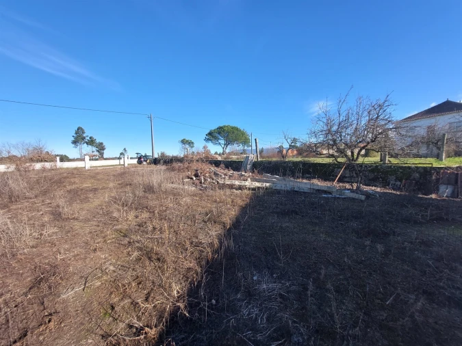 Terreno para Venda em Tourais e Lajes Foto 4