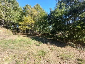Quinta T0 para Venda em Santiago