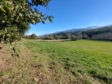 Quinta T0 para Venda em Santiago