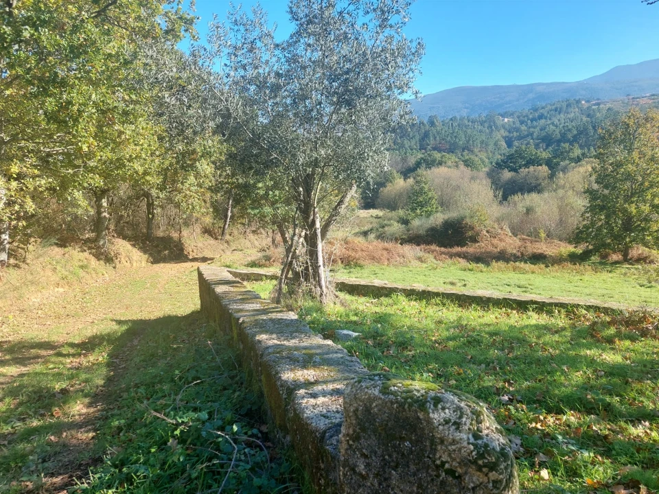 Quinta T0 para Venda em Santiago Foto 7