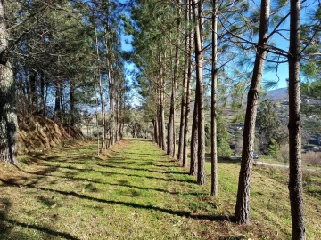 Quinta T1 para Venda em Figueiró da Serra e Freixo da Serra