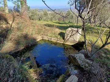 Quinta T1 para Venda em Figueiró da Serra e Freixo da Serra