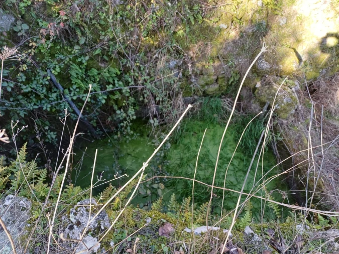 Quinta T1 para Venda em Figueiró da Serra e Freixo da Serra Foto 7