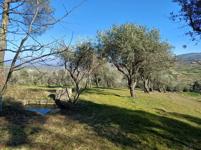 Quinta T1 para Venda em Figueiró da Serra e Freixo da Serra Foto 9
