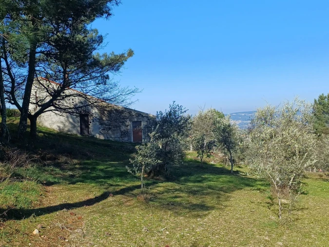 Quinta T1 para Venda em Figueiró da Serra e Freixo da Serra Foto 6