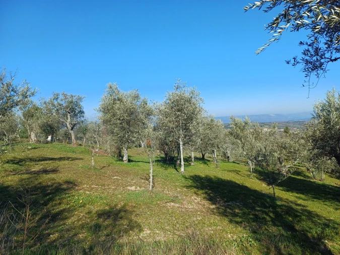 Quinta T1 para Venda em Figueiró da Serra e Freixo da Serra Foto 8