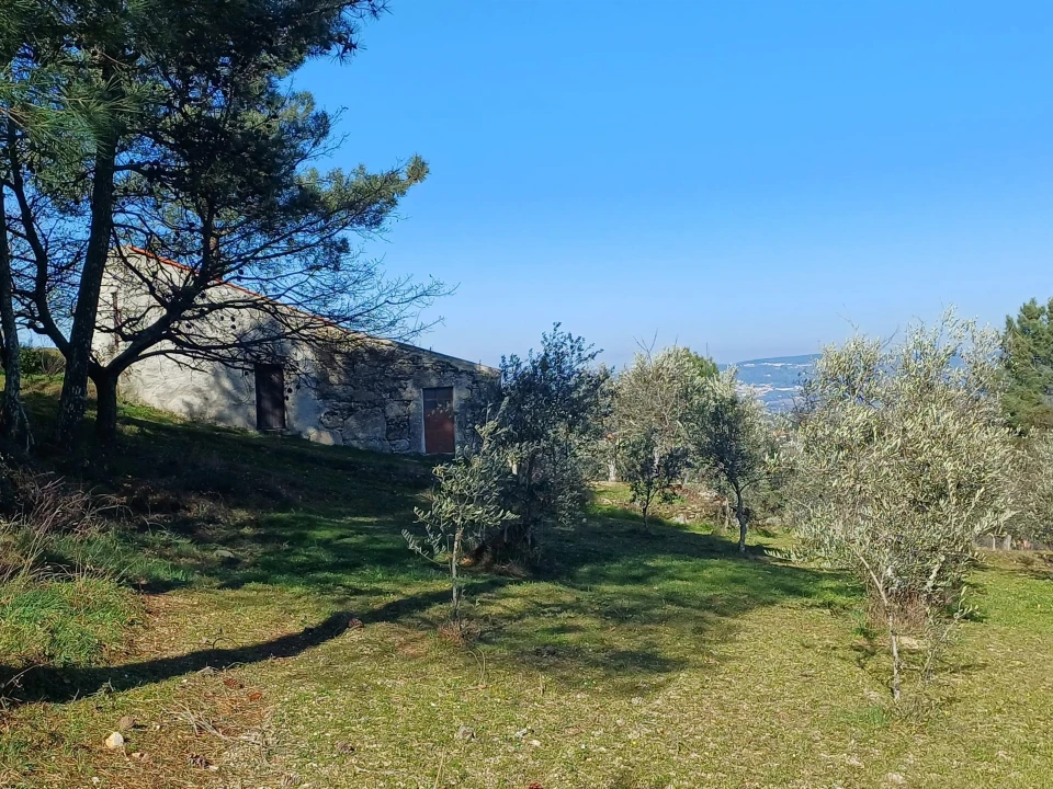 Quinta T1 para Venda em Figueiró da Serra e Freixo da Serra Foto 6