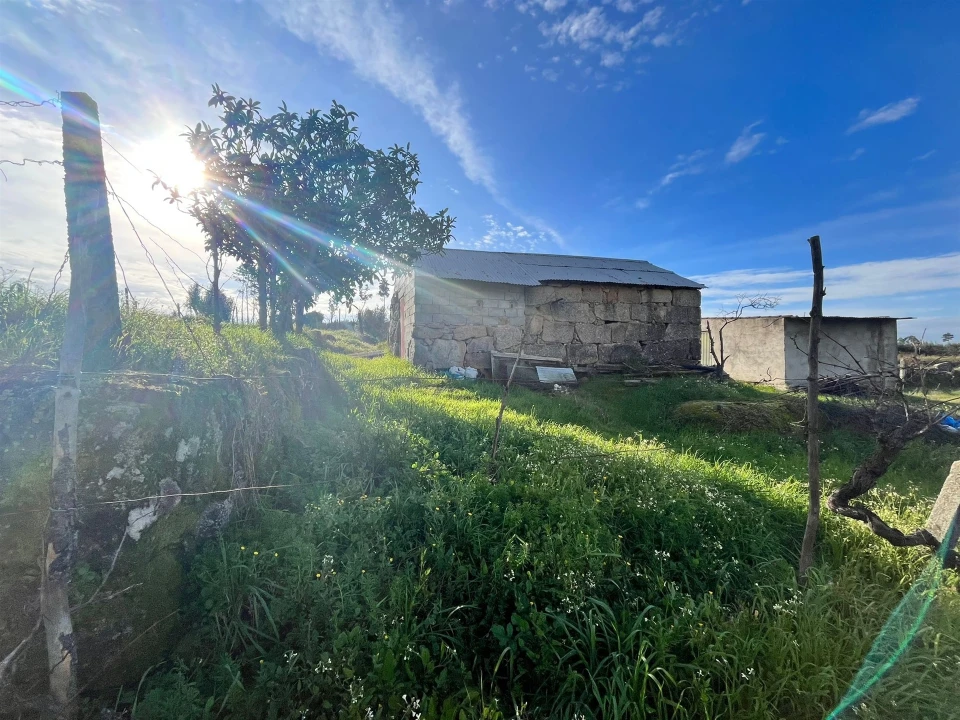 Quinta T0 para Venda em Seixo da Beira Foto 12