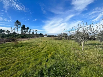 Quinta T0 para Venda em Seixo da Beira