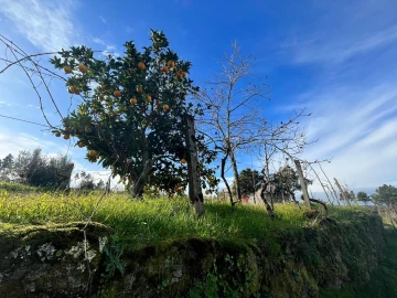 Quinta T0 para Venda em Seixo da Beira
