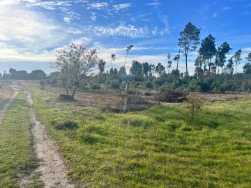 Quinta T0 para Venda em Seixo da Beira