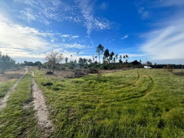 Quinta T0 para Venda em Seixo da Beira