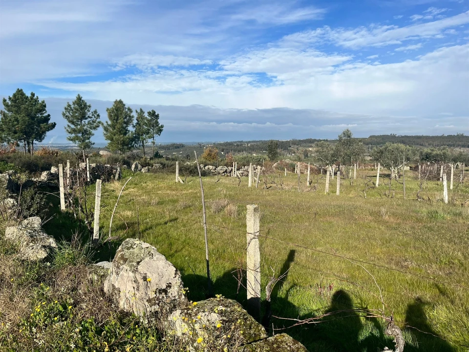 Quinta T0 para Venda em Seixo da Beira Foto 8