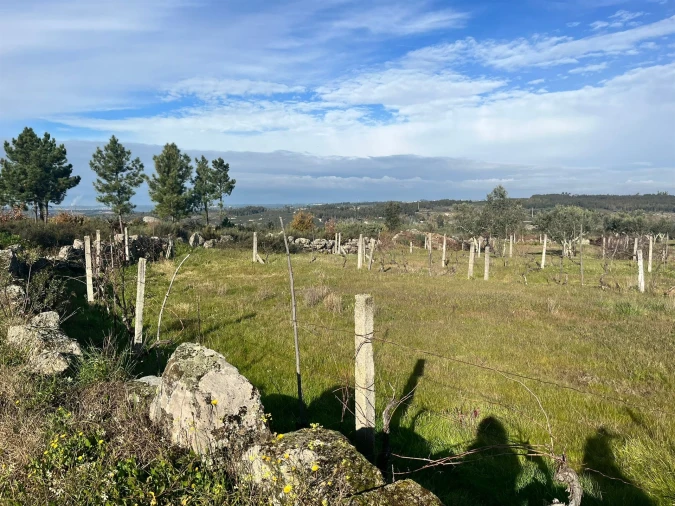 Quinta T0 para Venda em Seixo da Beira Foto 8