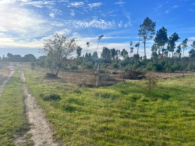 Quinta T0 para Venda em Seixo da Beira Foto 3
