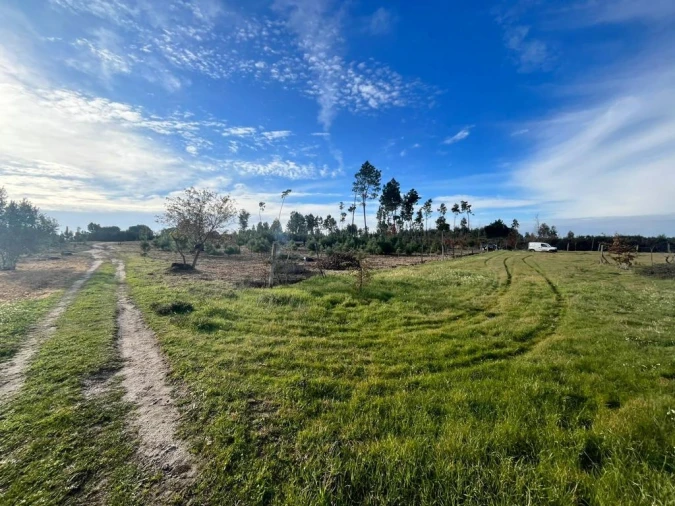 Quinta T0 para Venda em Seixo da Beira Foto 2