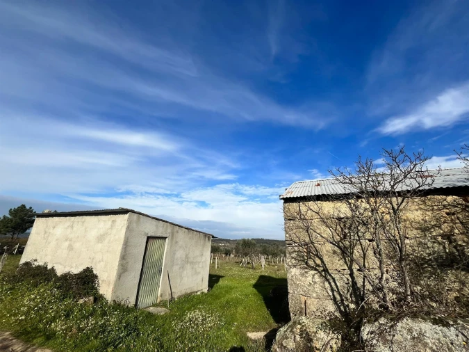 Quinta T0 para Venda em Seixo da Beira Foto 11