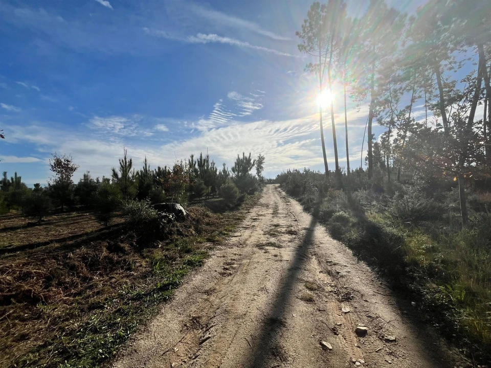 Quinta T0 para Venda em Seixo da Beira Foto 13