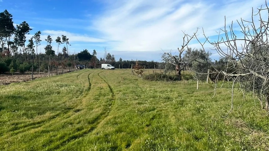 Quinta T0 para Venda em Seixo da Beira