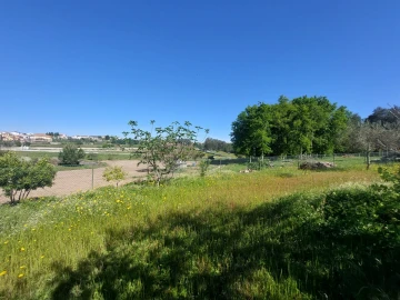 Quinta T1 para Venda em Santa Comba
