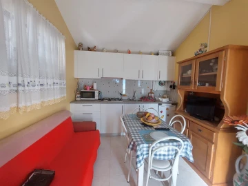 Quinta T1 para Venda em Santa Comba