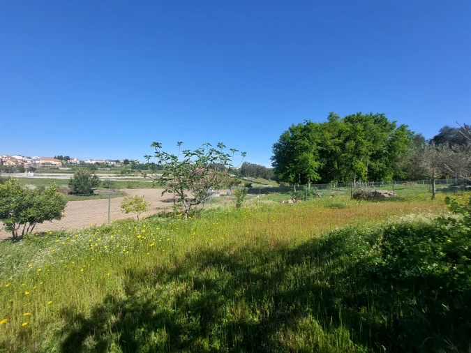 Quinta T1 para Venda em Santa Comba Foto 11