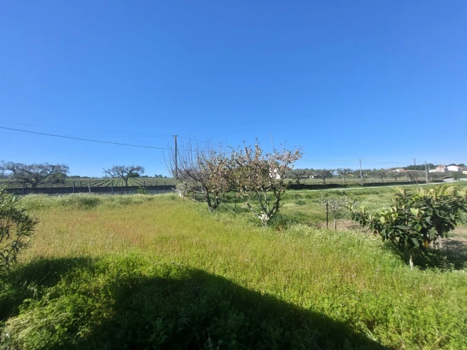 Quinta T1 para Venda em Santa Comba Foto 10