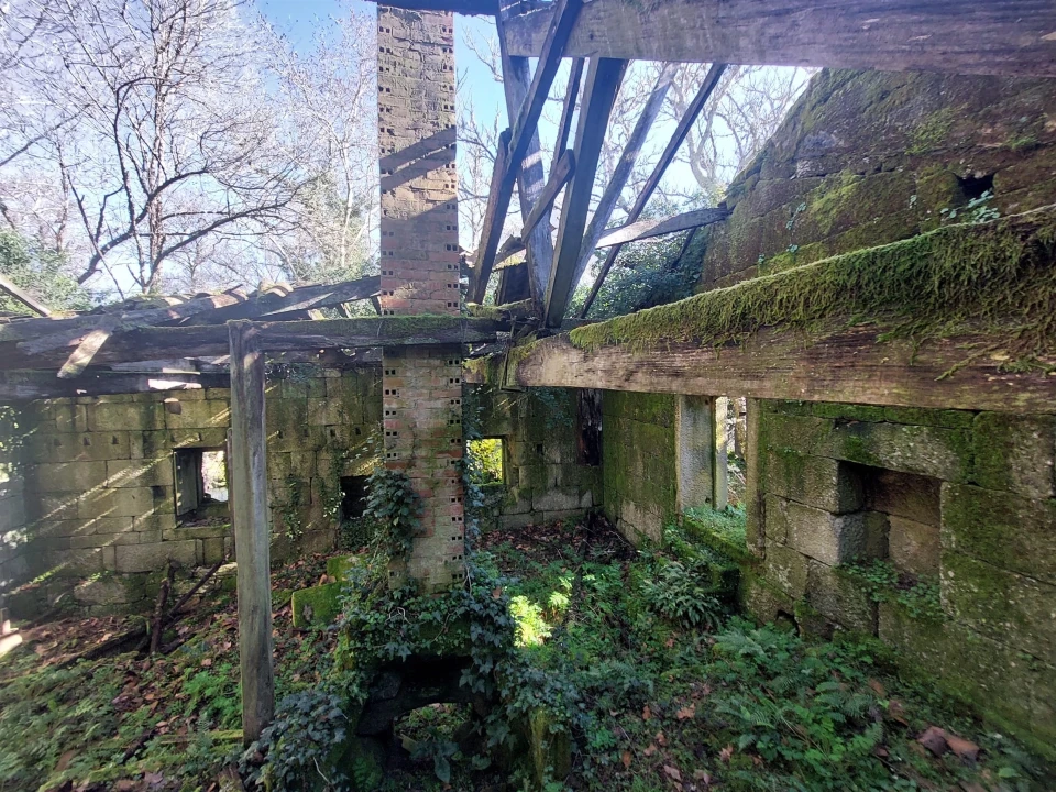 Quinta T0 para Venda em Rio Torto e Lagarinhos Foto 19