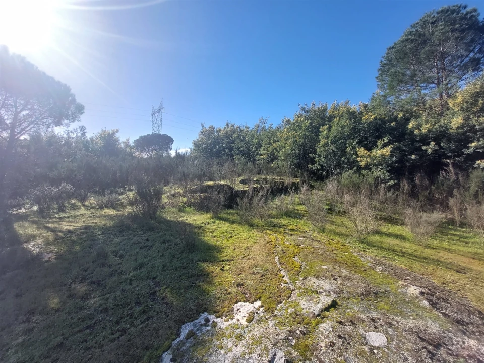 Quinta T0 para Venda em Rio Torto e Lagarinhos Foto 23
