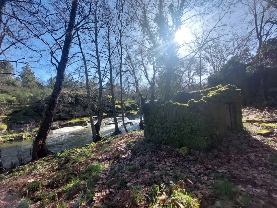 Quinta T0 para Venda em Rio Torto e Lagarinhos Foto 12