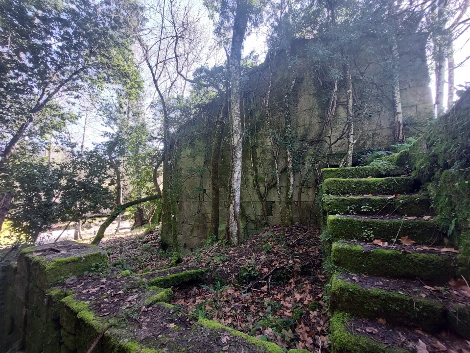 Quinta T0 para Venda em Rio Torto e Lagarinhos Foto 10