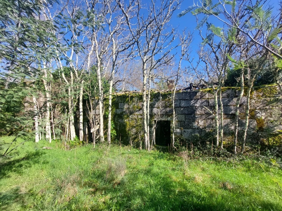 Quinta T0 para Venda em Rio Torto e Lagarinhos Foto 2