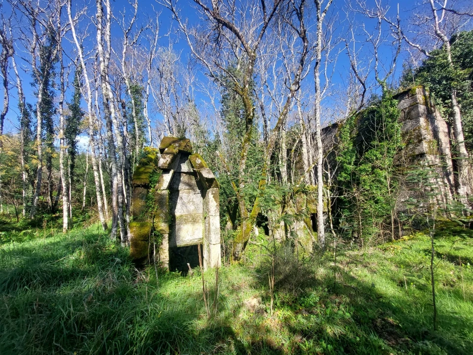 Quinta T0 para Venda em Rio Torto e Lagarinhos Foto 4