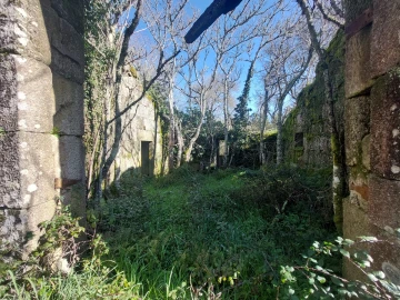 Quinta T0 para Venda em Rio Torto e Lagarinhos